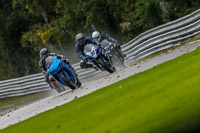 PJ-Motorsport-Photography-2020;anglesey;brands-hatch;cadwell-park;croft;donington-park;enduro-digital-images;event-digital-images;eventdigitalimages;mallory;no-limits;oulton-park;peter-wileman-photography;racing-digital-images;silverstone;snetterton;trackday-digital-images;trackday-photos;vmcc-banbury-run;welsh-2-day-enduro